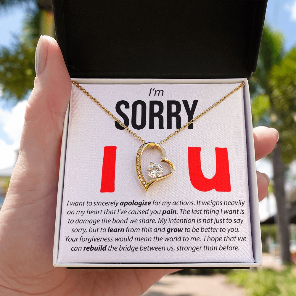 I'm Sorry, I Sincerely Apologize - Forever Love Necklace