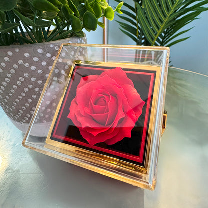 “Let's Start Over” Love Knot with Rotating Rose Gift Box – Apology & Reconciliation Gift for Her